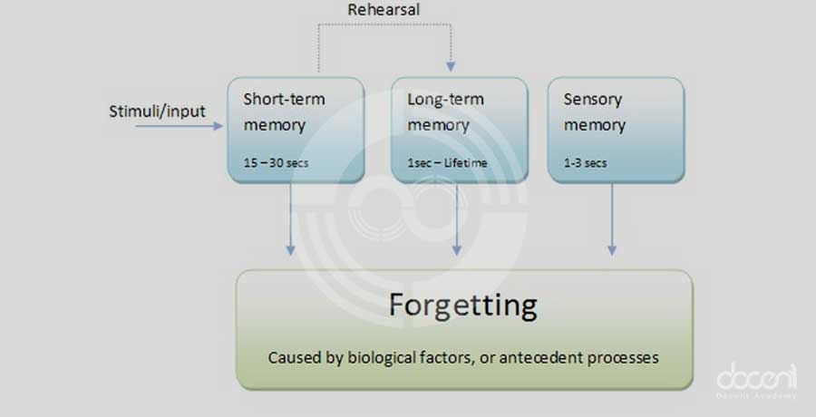 انواع حافظه